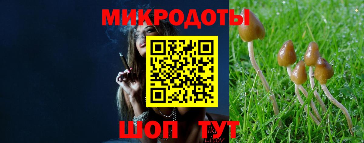 Россошь  Псилоцибиновые грибы Magic Shrooms  Галлюциногенные грибы прущие грибы  Вход с VPN 